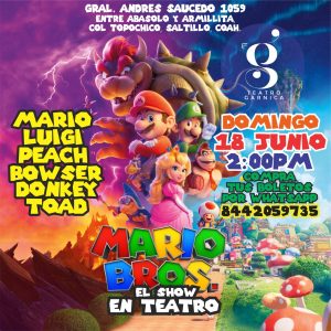 SHOW DE MARIO BROS