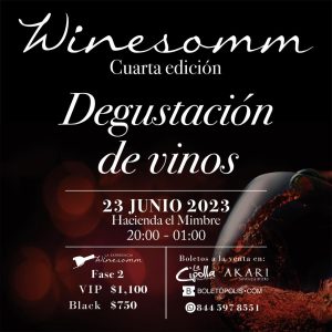 Winesomm 4º edición: Degustación de vinos