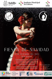 Fiesta de Navidad