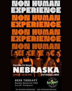 NON HUMAN EXPERIENCE en Beer Therapy