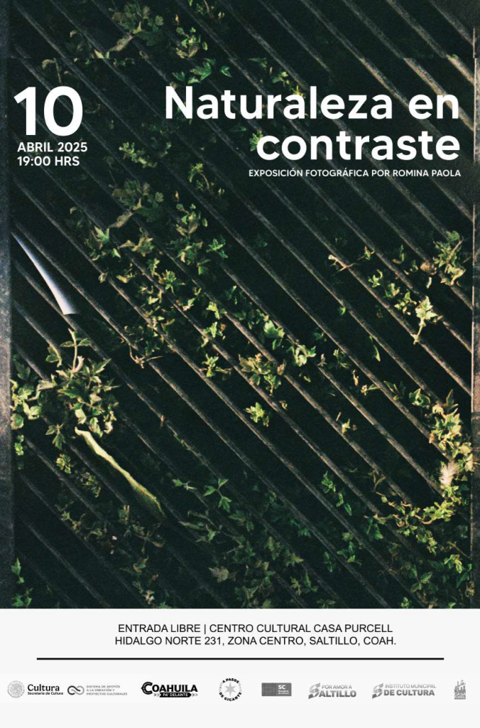 Naturaleza en contraste: Exposición Fotográfica por Romina Paola
