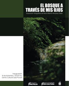 EL BOSQUE A TRAVÉS DE MIS OJOS