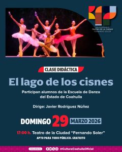 CLASE DIDÁCTICA El lago de los cisnes