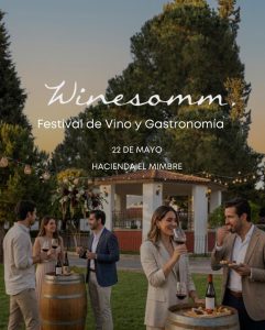 Winesomm: Festival de Vino y Gastronomía