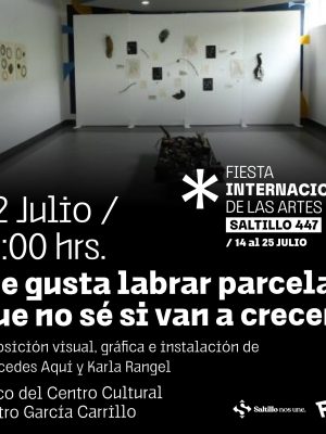 FINA Saltillo 447 Me Gusta Labrar Parcelas que no sé si Van a Crecer